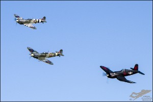 NZ6_3231